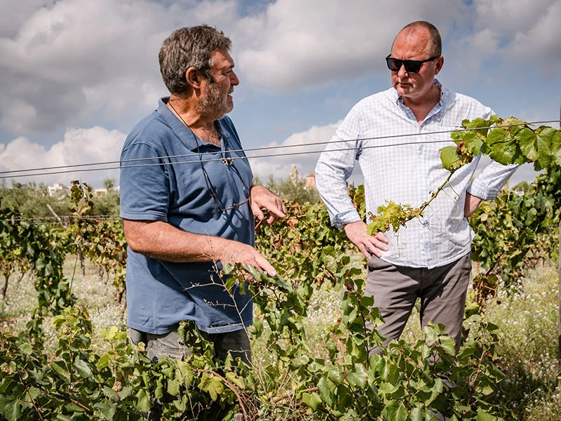 Visita al celler de vi El Vinyet de Sant Jordi · foto 1