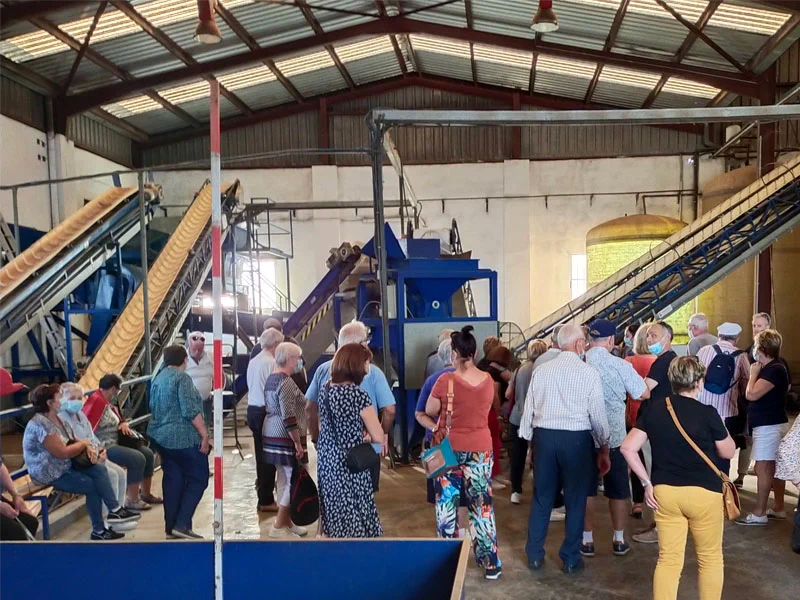 Visita a les oliveres mil·lenàries, cata d'oli i visita a l'Almàssera Cervol · foto 3
