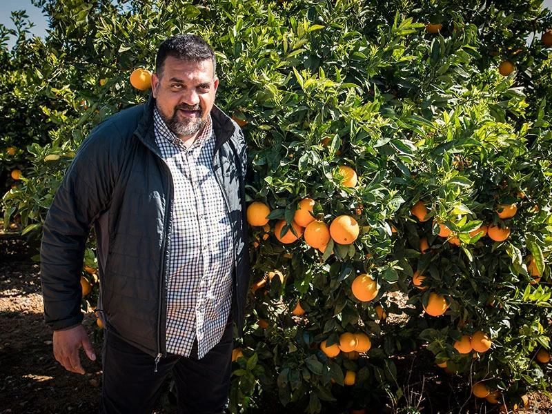 Visita el primer dia de collita de les mandarines Pobill Ecològics · foto 2