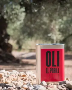 Llauna OOVE Farga entre oliveres centenàries del Maestrat